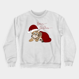 Cute Christmas Kitten in Santa Hat Crewneck Sweatshirt